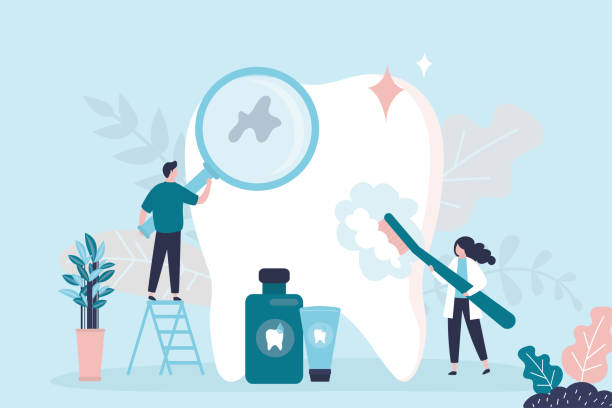 Professional Dental Services in Mount Vernon, MD